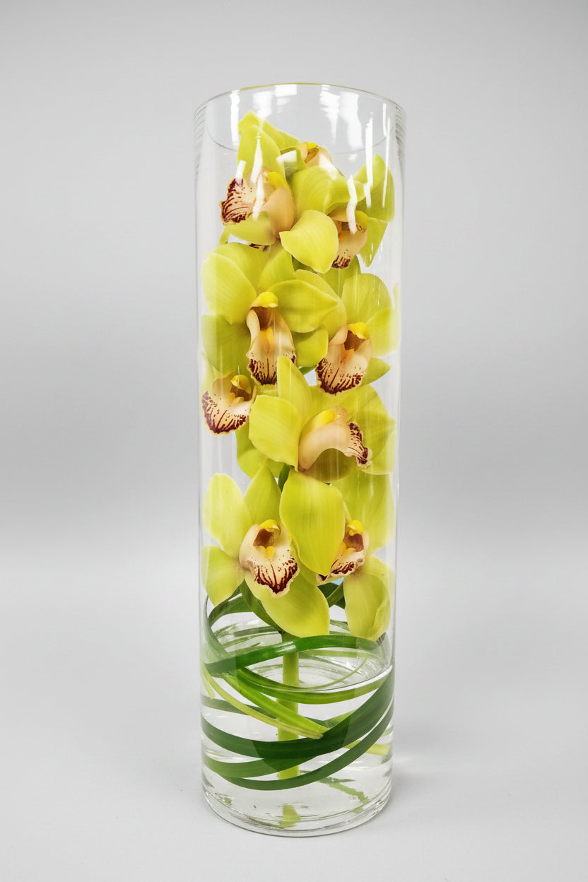 Clear cylindrical vase with green orchids on a white background
