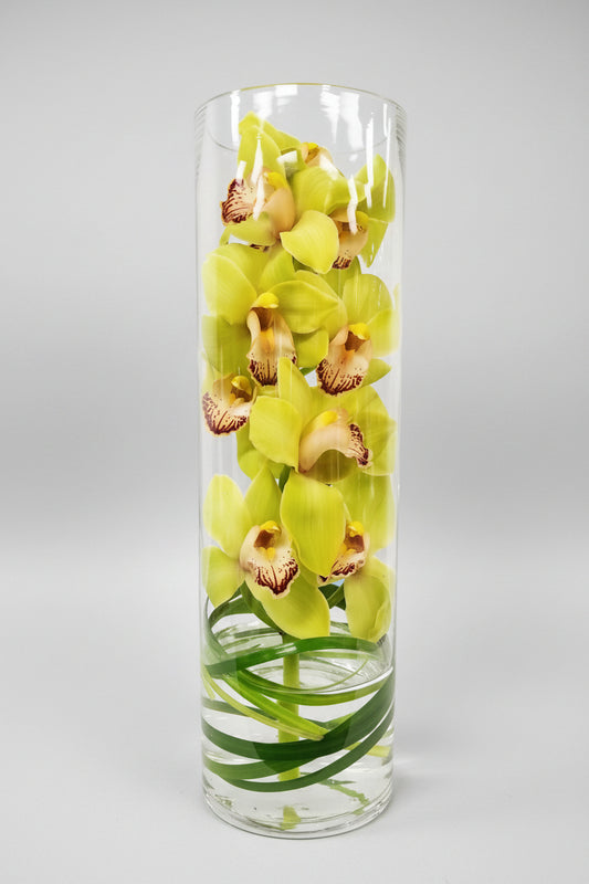 Clear cylindrical vase with green orchids on a white background