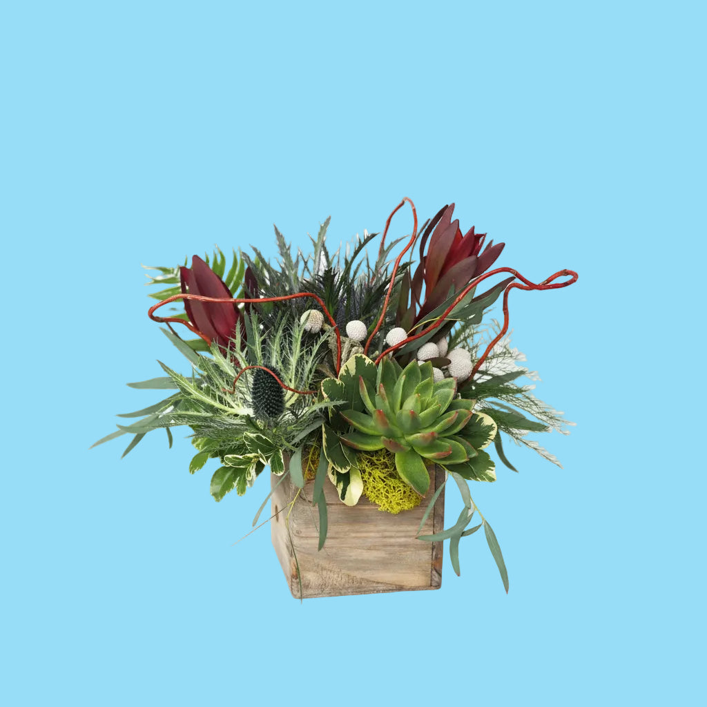 Decorative plant arrangement with succulents and greenery in a wooden box on a white background